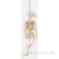 Esqueleto de Halloween de Halloween de Corpo Plástico de alta qualidade